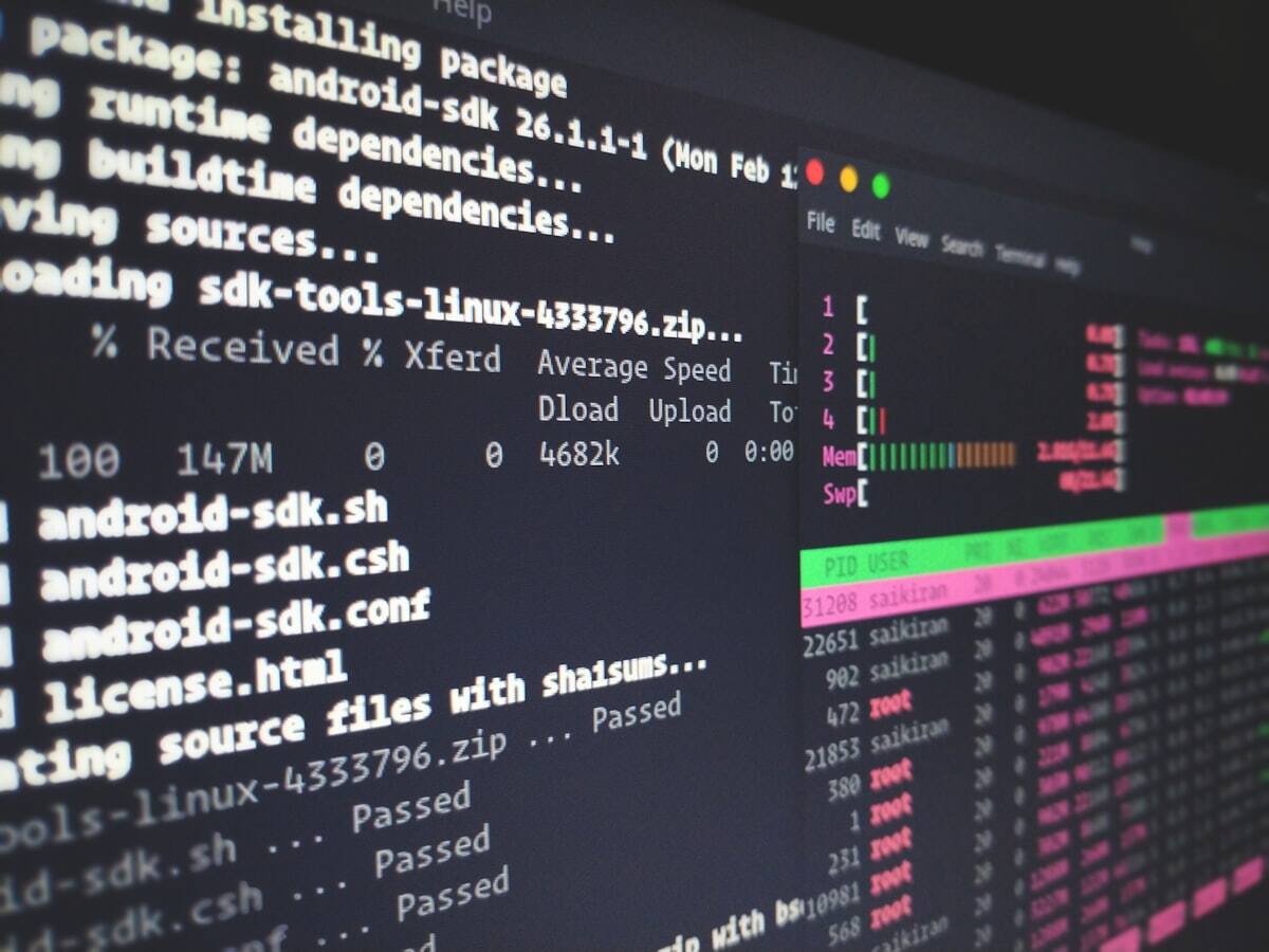 WordPress updates and maintenance